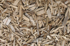 biomass boilers Porthyrhyd