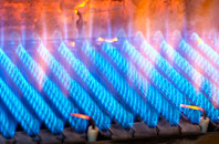 Porthyrhyd gas fired boilers